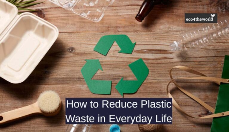 How to Reduce Plastic Waste in Everyday Life