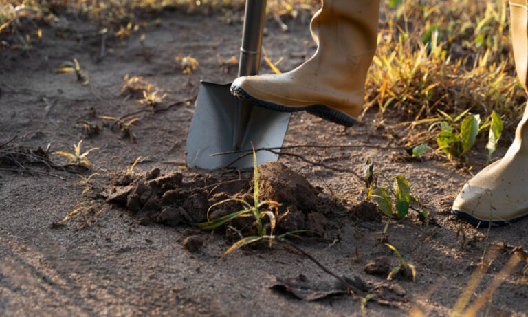 Managing Soil, Brush, and Debris During Landscape Overhauls Managing Soil, Brush, and Debris During Landscape Overhauls