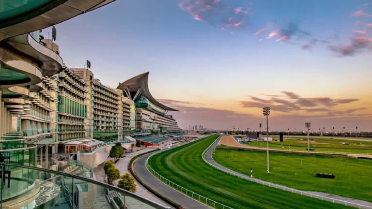 How to Establish a Business in the Meydan Free Zone?