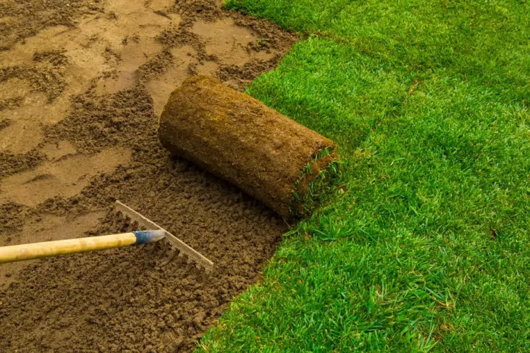 Sod Installation