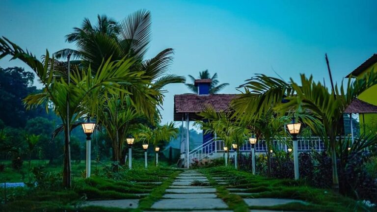 Into the Wild: Unforgettable Escapes at Dandeli Resorts