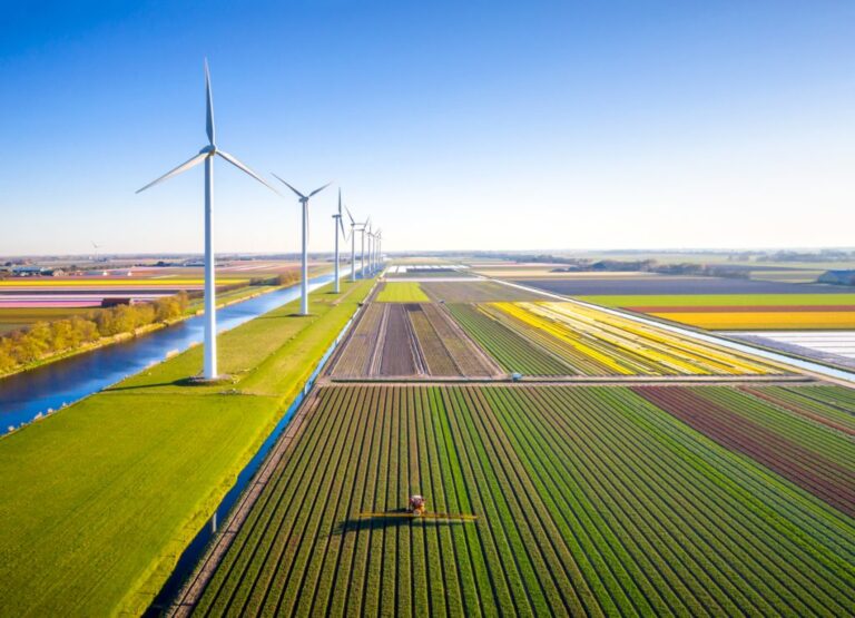 Renewable Energy