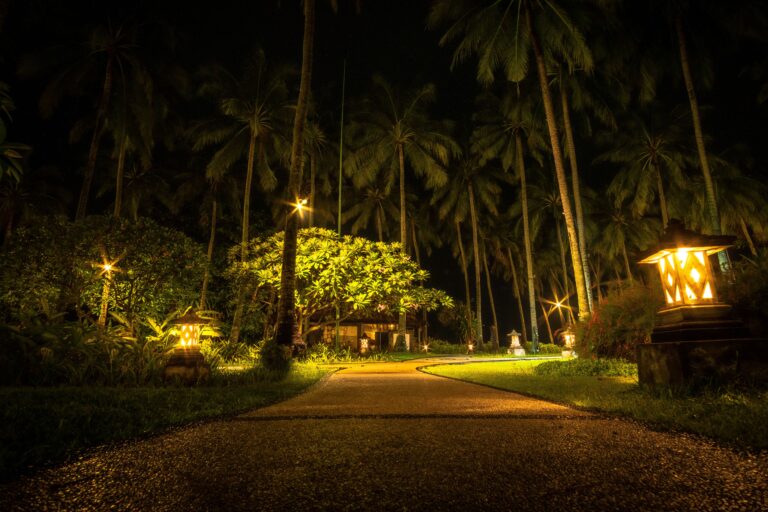 Landscape Lighting