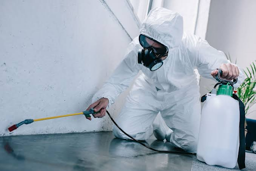 Pest Protection