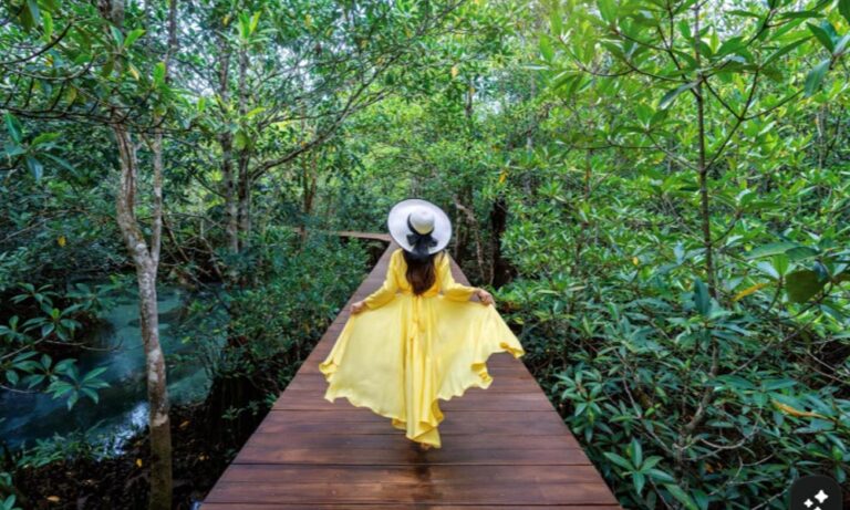 Into the Wild: Unforgettable Escapes at Dandeli Resorts